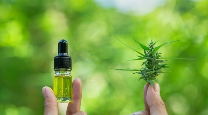 Why you should use CBD products? CBD products