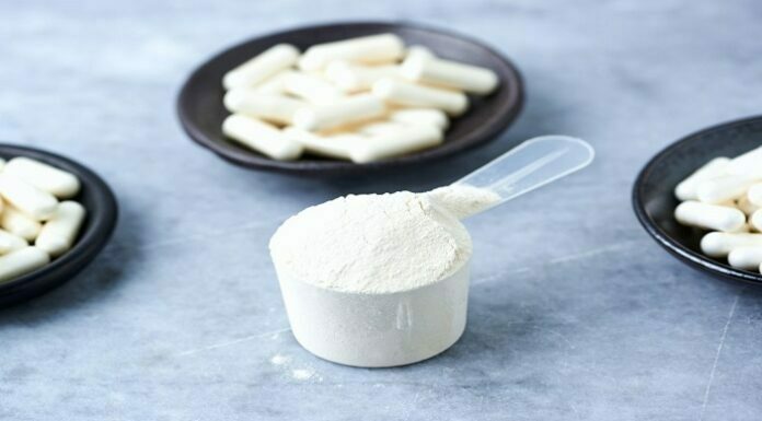 An Overview of Beta-Alanine Supplement Beta-Alanine Supplement