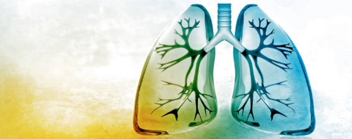 Cell Options for COPD