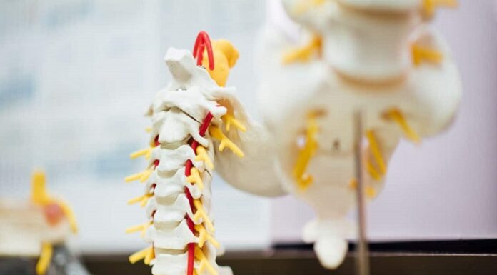 Who Is The Right Candidate For Artificial Disc Replacement Surgery? – 5 Signs To Watch Out For Disc Replacement Surgery