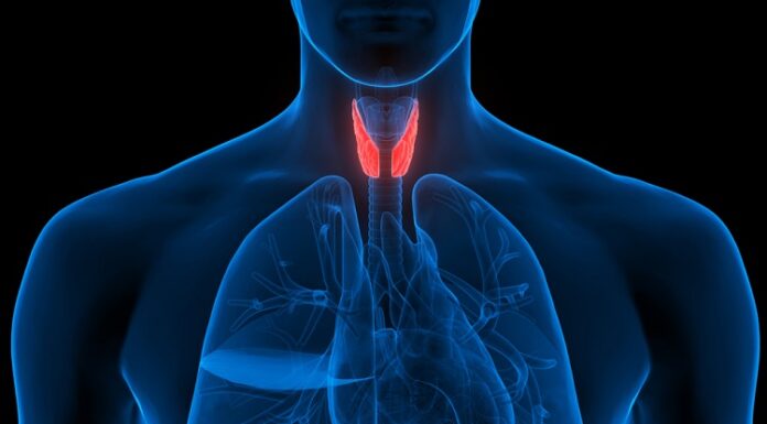 Nutrition and the Endocrine System: How They Work Together Endocrine System