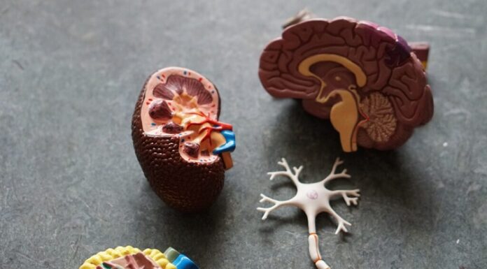 5 Potential Causes of a Pinched Nerve Pinched Nerve