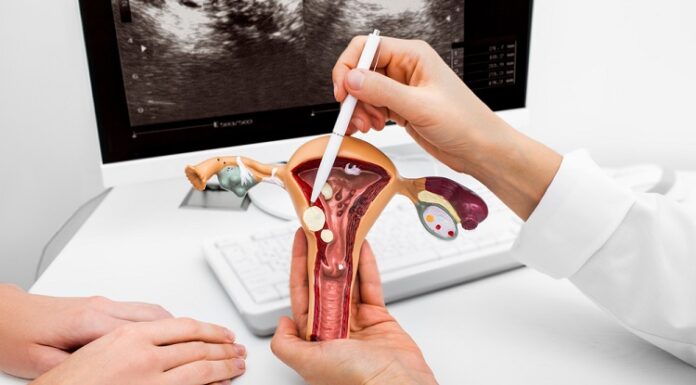 Breaking Down Myths and Misconceptions about Obstetricians and Gynecologists Gynecologists